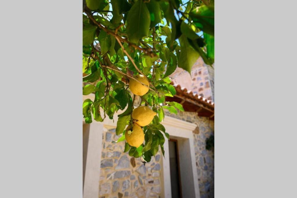 Marigoula House Pombia Exterior foto